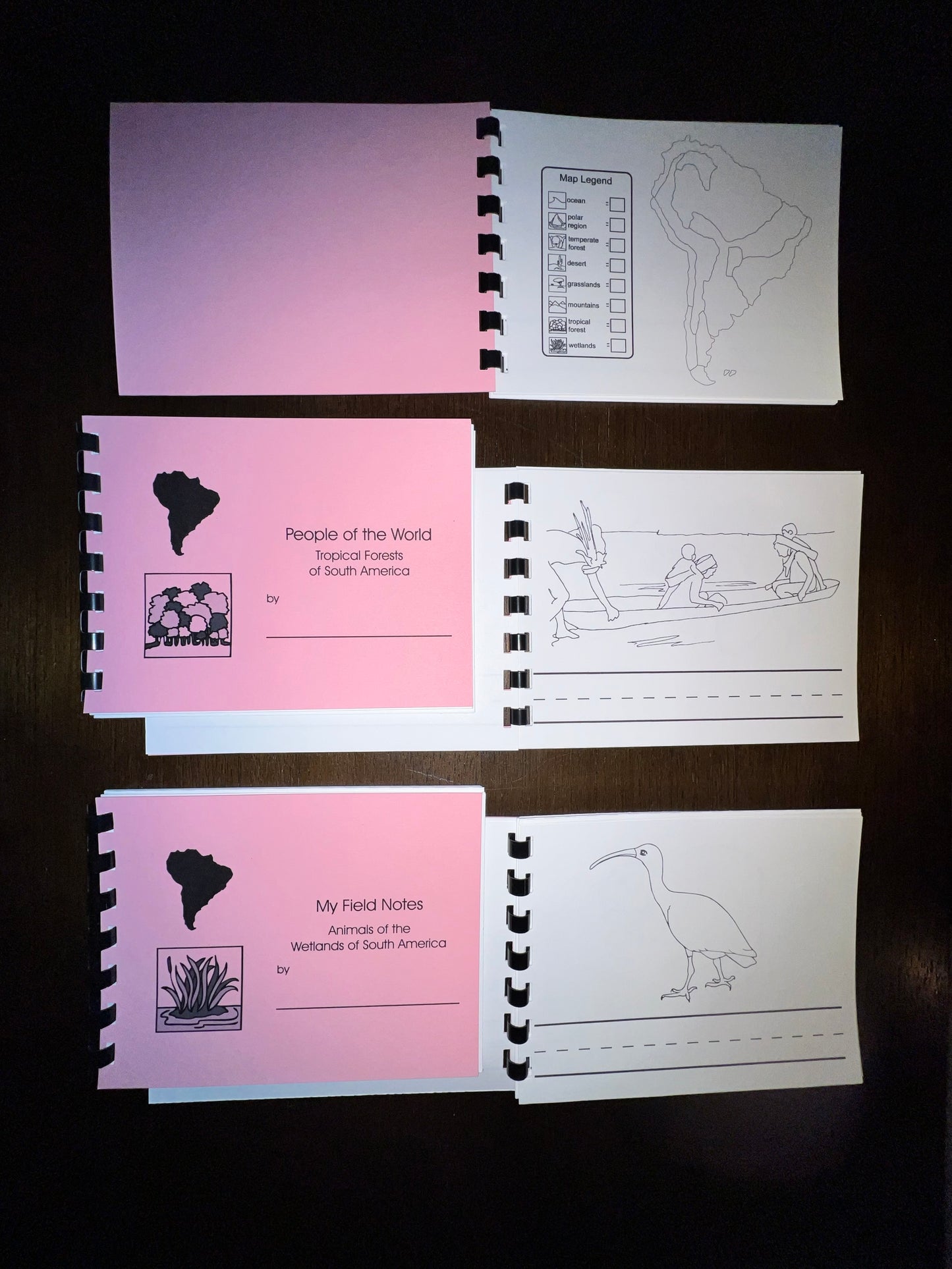 Companion Booklets for the Waseca Primary Continent Cards